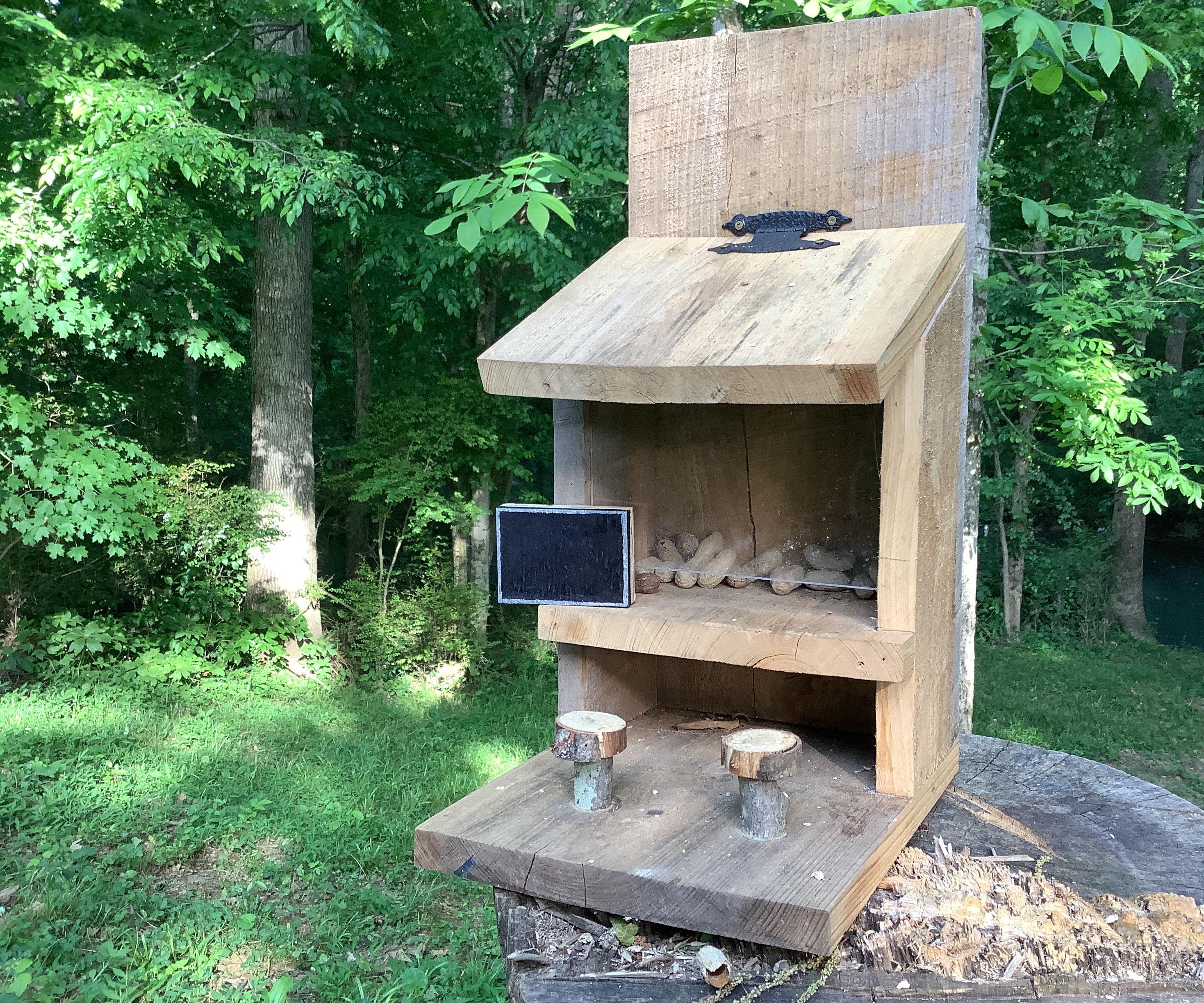Tiny Tv for Squirrel Bar