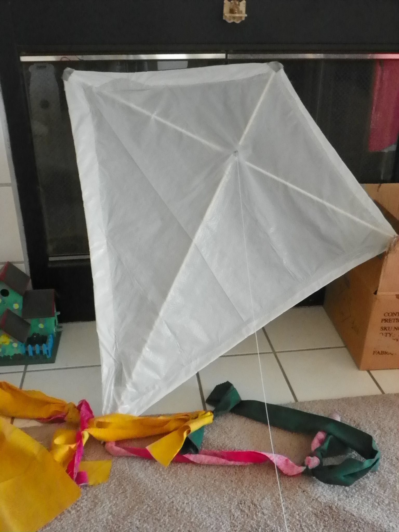 Learn How to Make a Kite!