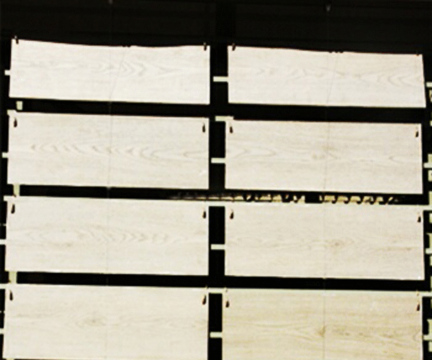 Sunlight Shades