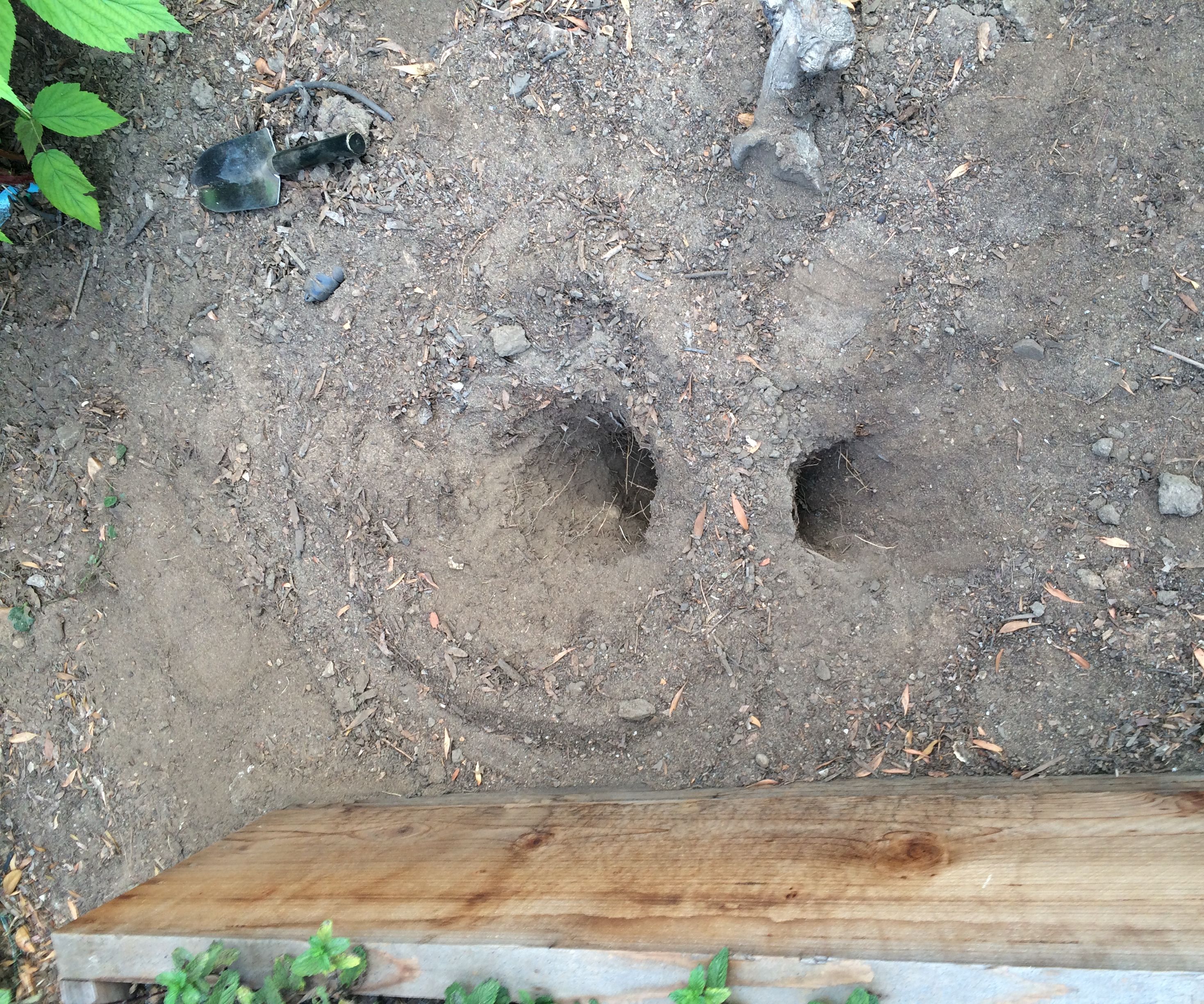 Cooking hole #1