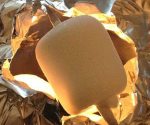 Bedside Marshmallow Roaster