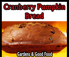 Cranberry Pumpkin Bread