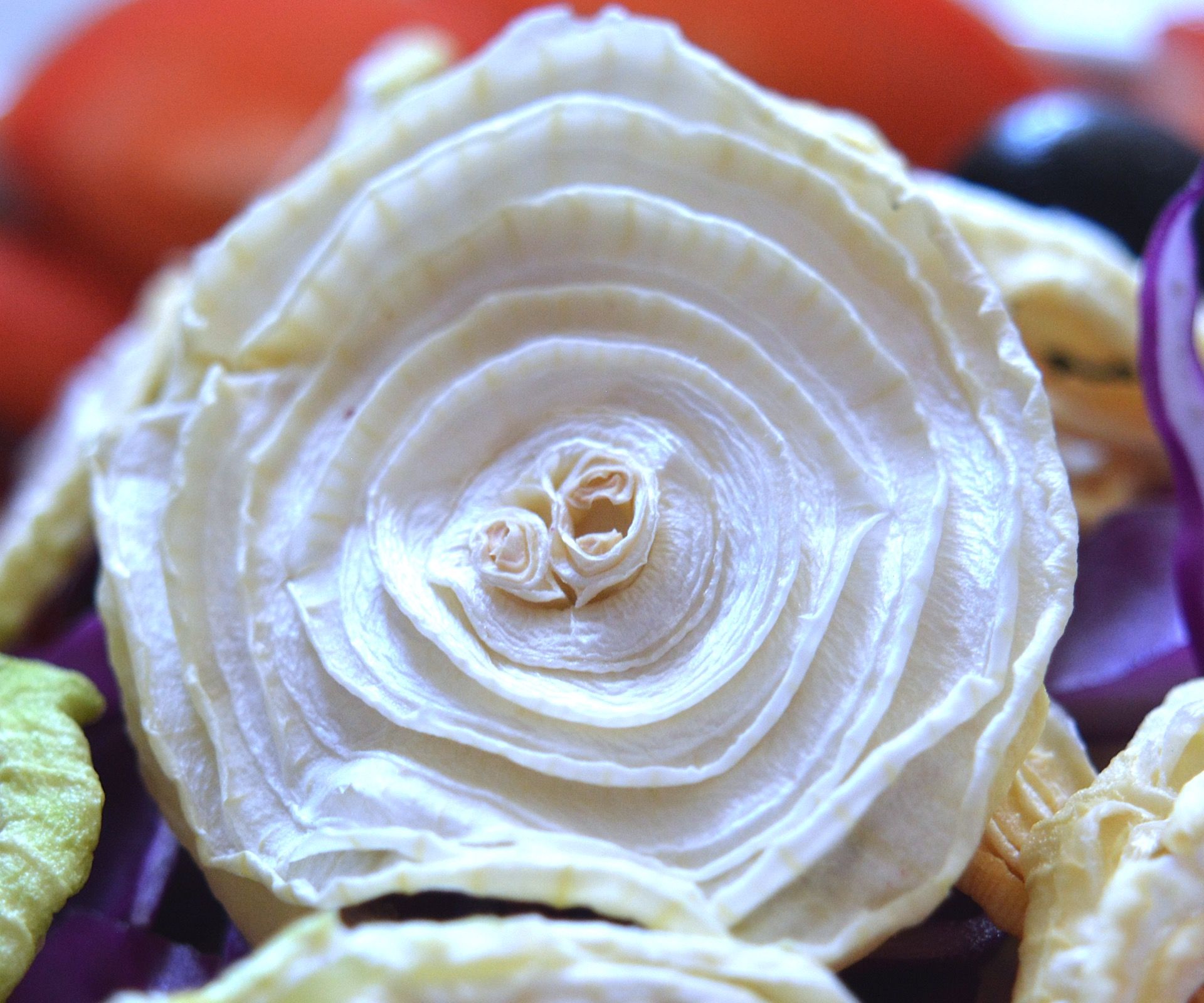 Healthy Homemade Onion Chip Salad for Family :)