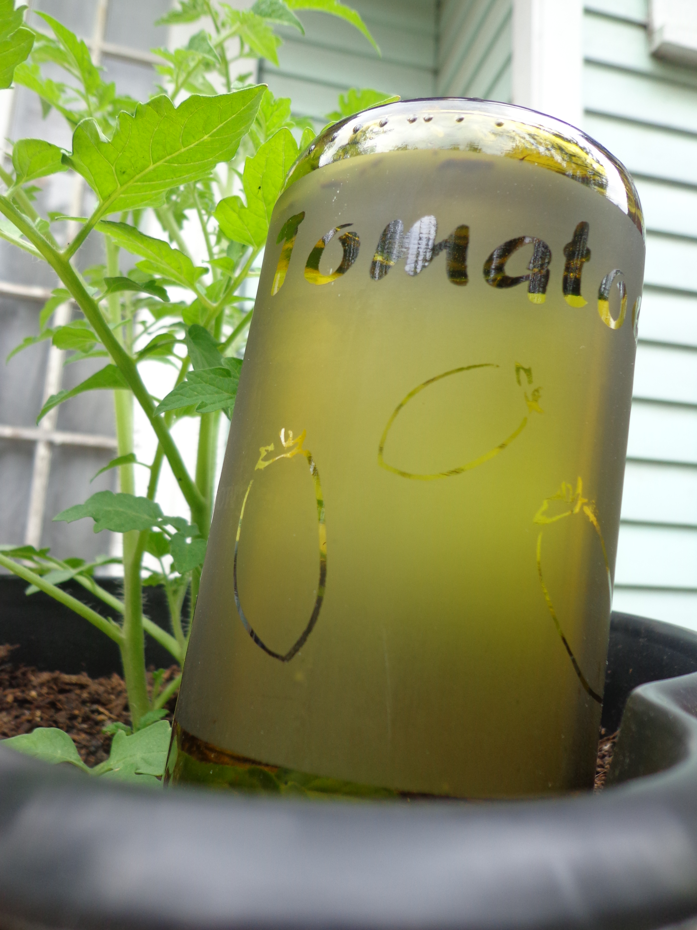 Upcycled Wine Bottle Watering