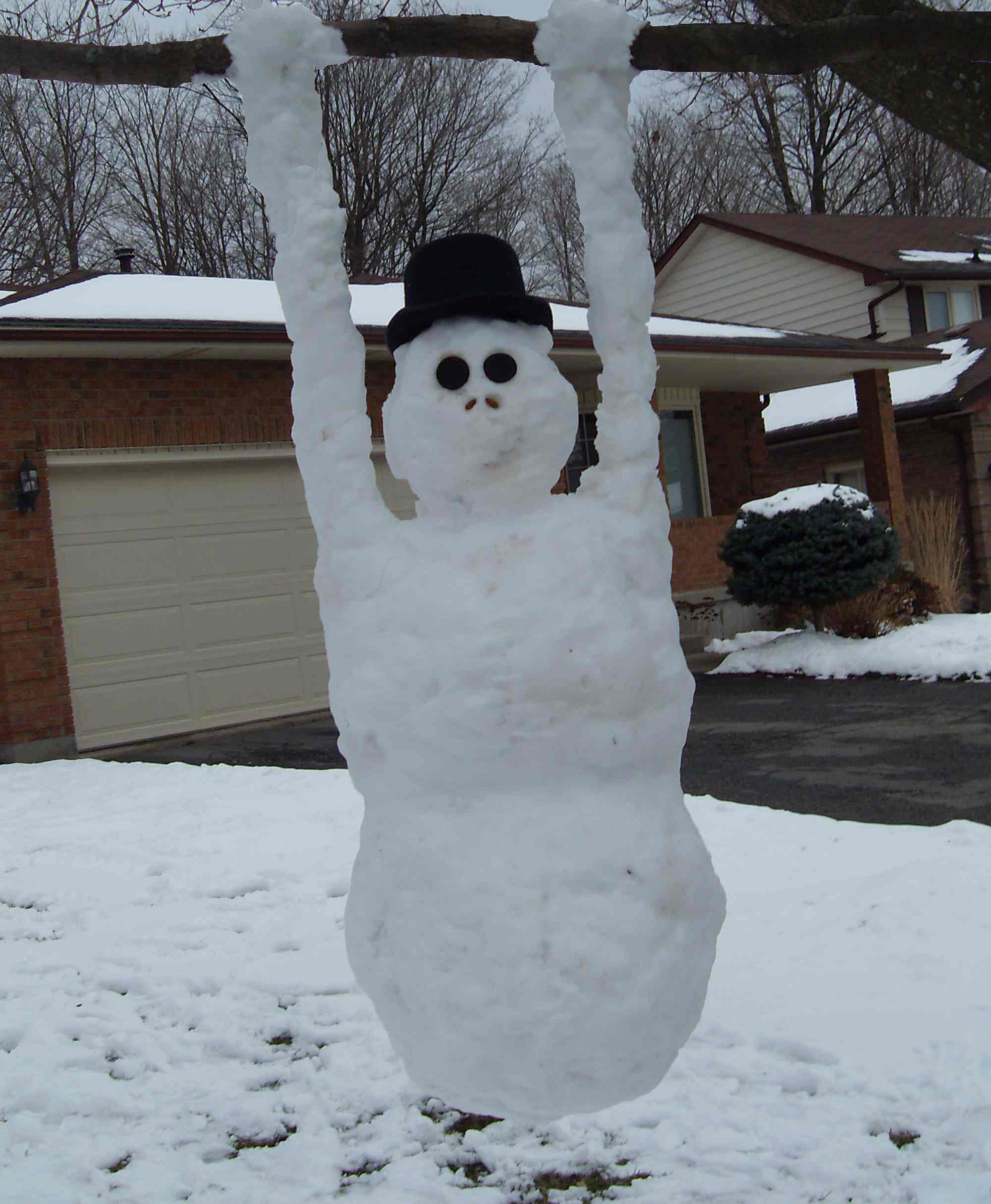 Snow Monkey!