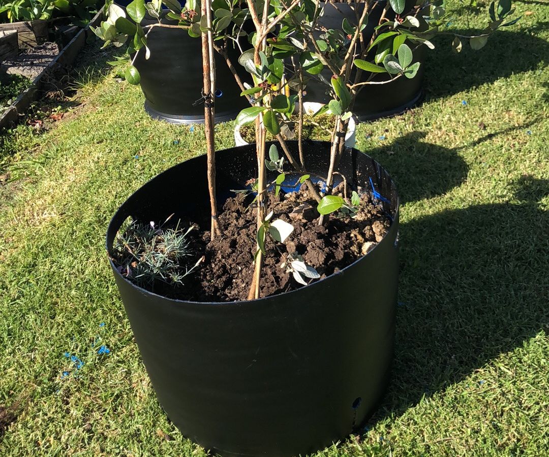 Portable Tree Planter