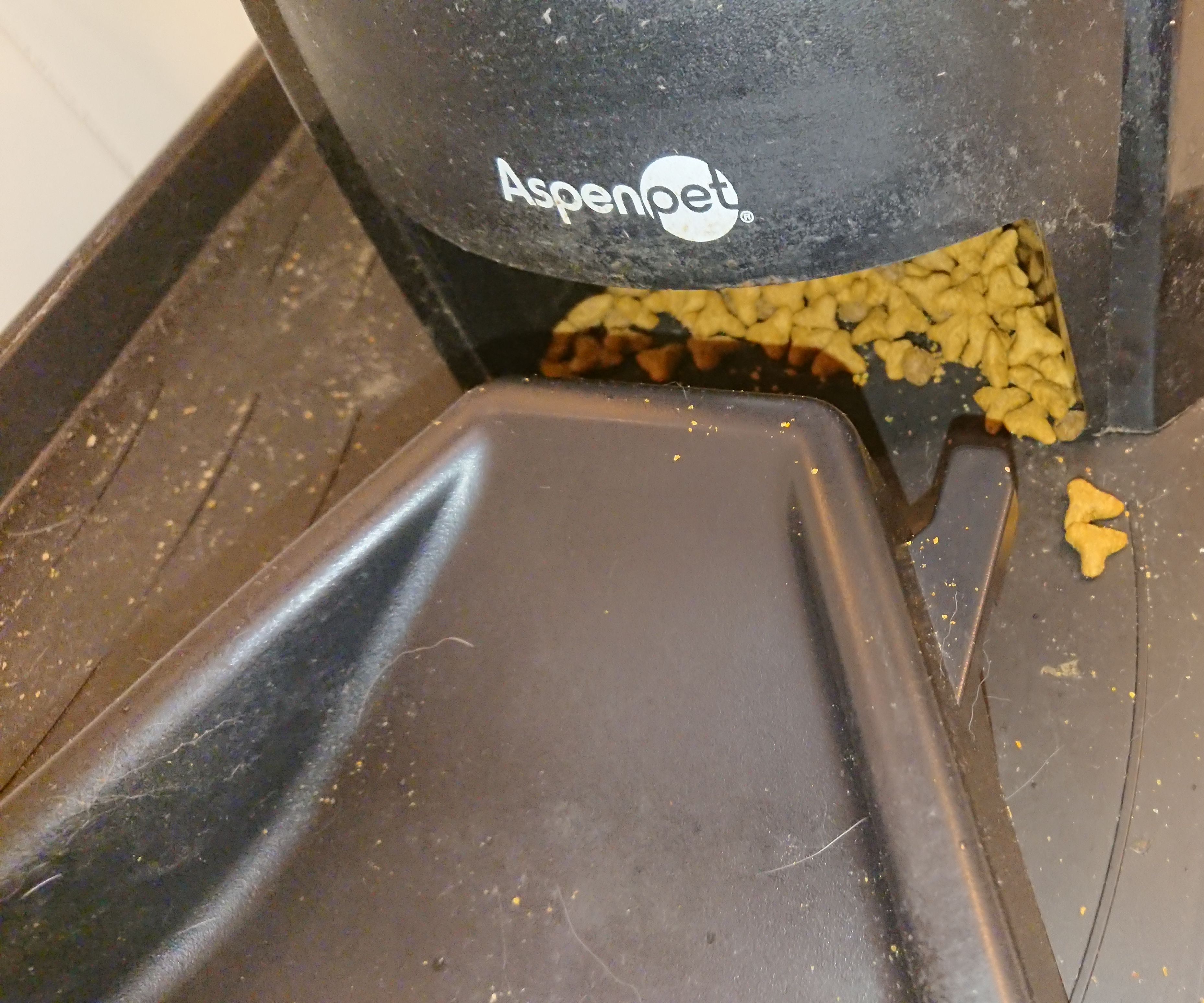 Improve Lebistro Auto Pet Feeder