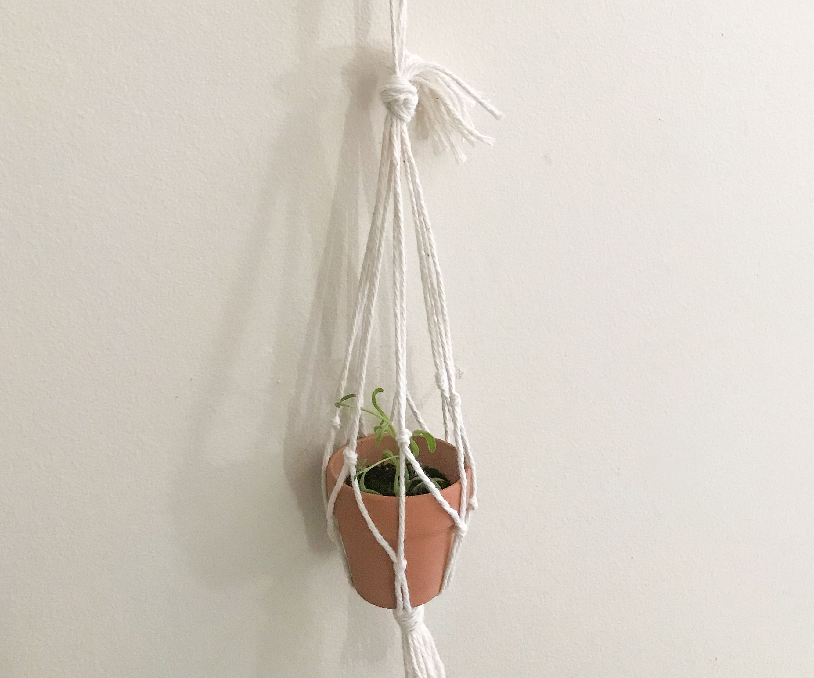 Hanging Mini Planter With Spoon Hook