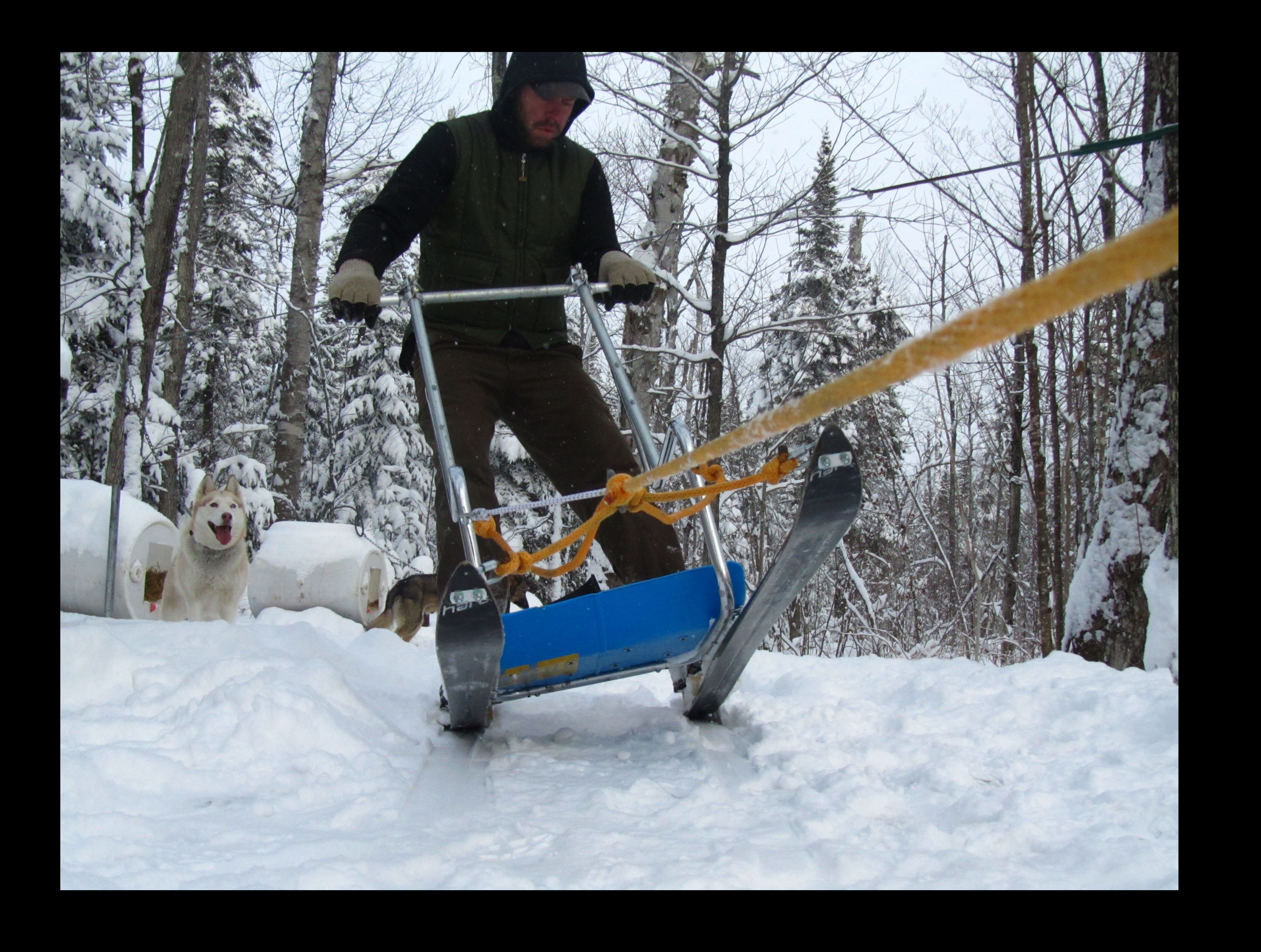 Homemade Dogsled