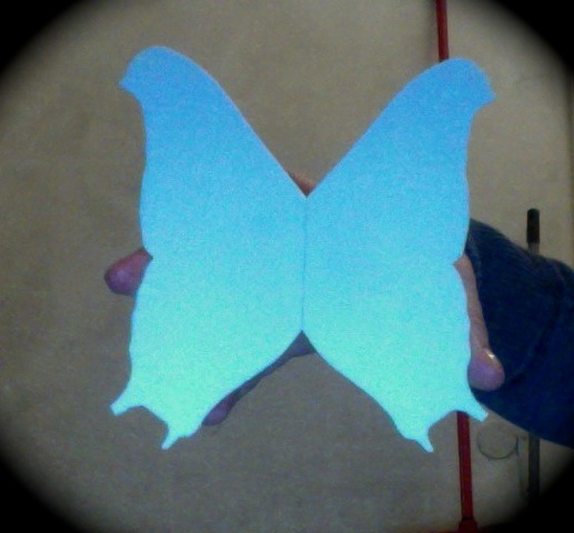 Usb Butterfly Pin