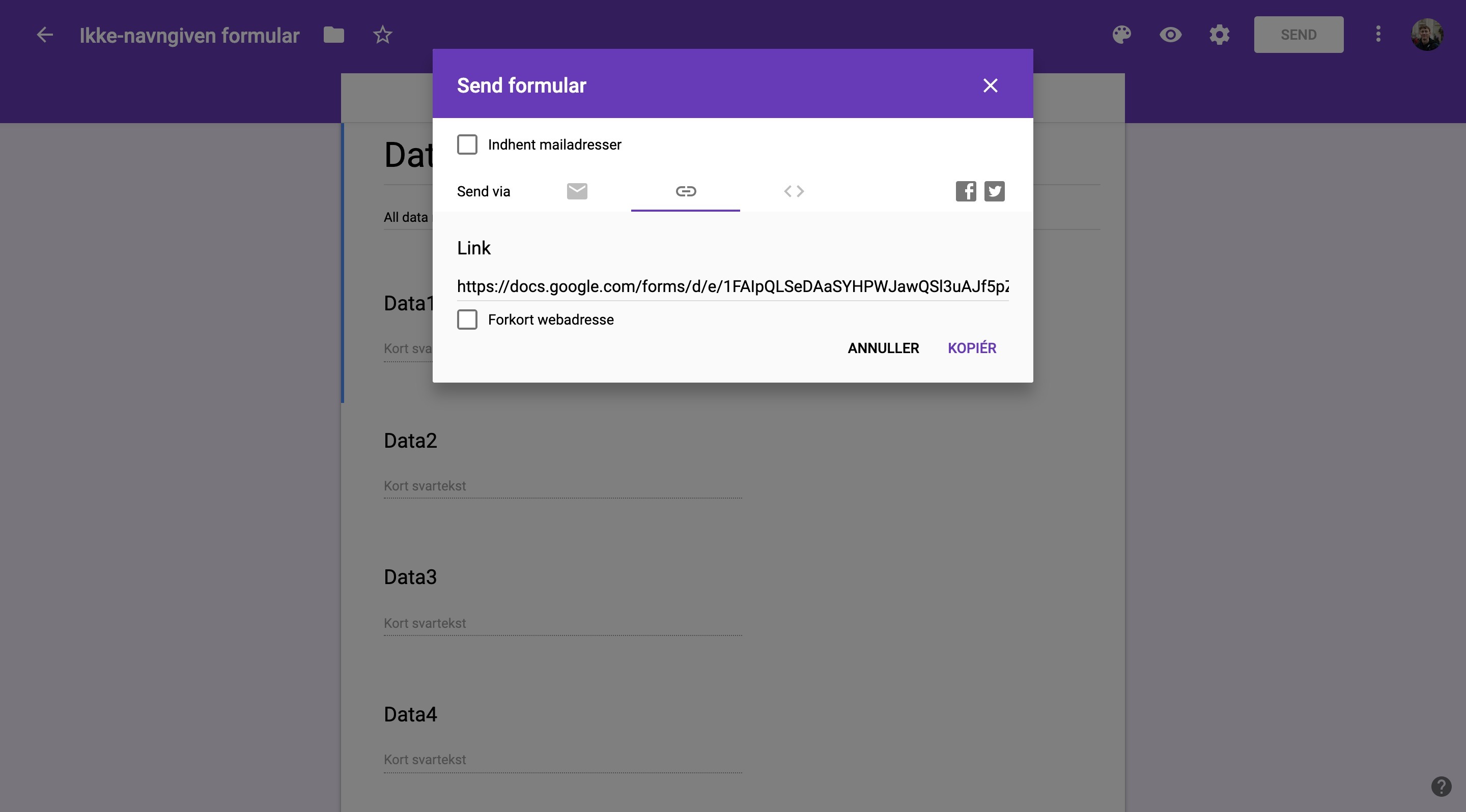 FireShot Capture 024 - Ikke-navngiven formular - Google Anal_ - https___docs.google.com_forms_d_1i.jpg