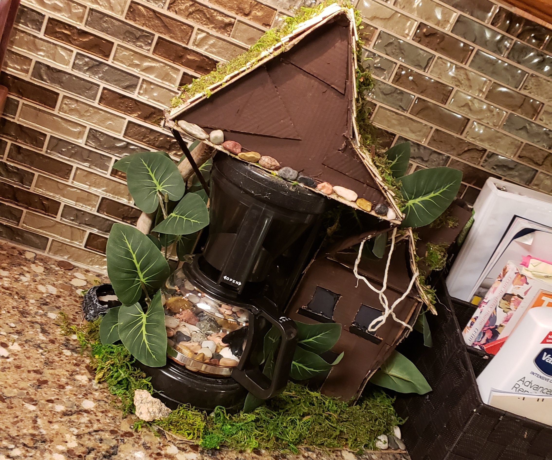 Witch Coffee Fish Tank | For Betta Fish 