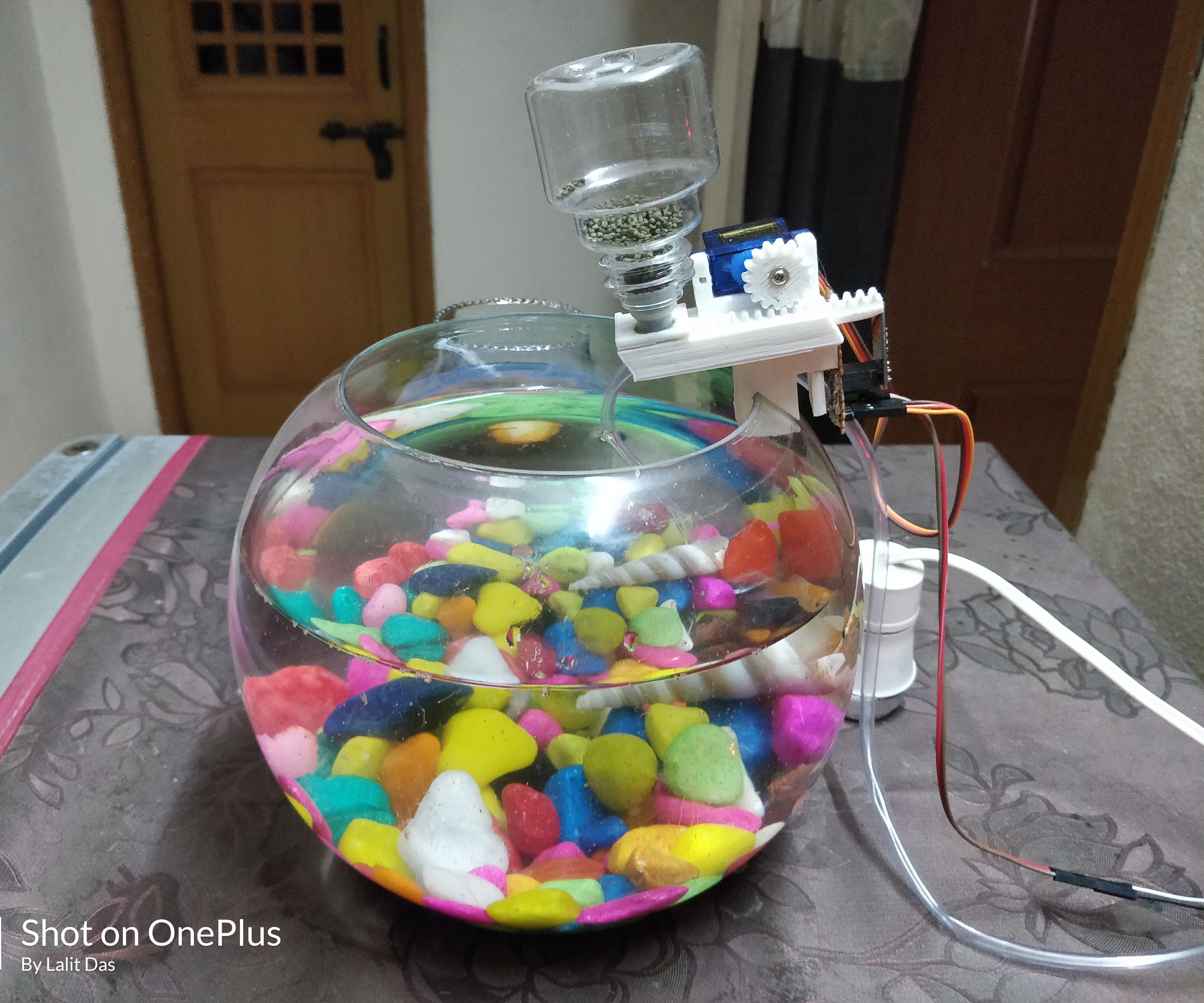 Beginner : Learn IOT With a Cool Fish Feeder