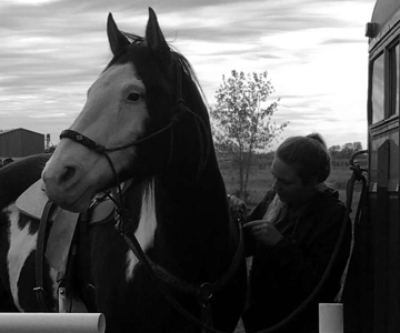 How to Put a Saddle on a Horse