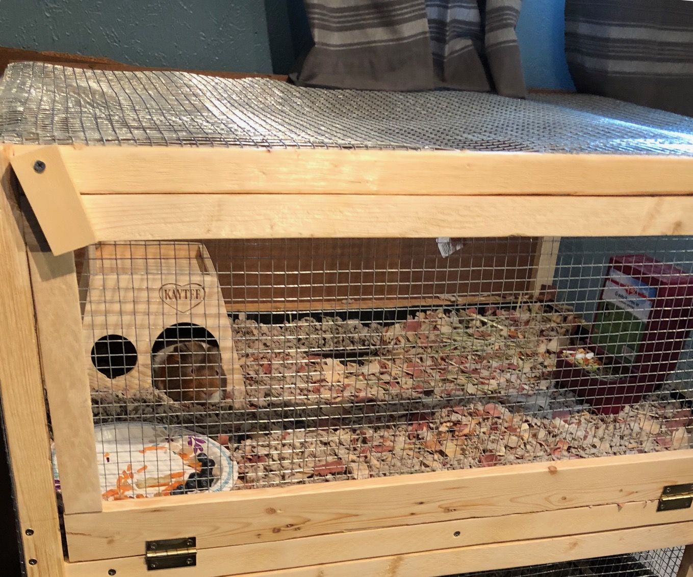 How to Make a Two Level Guinea Pig Cage