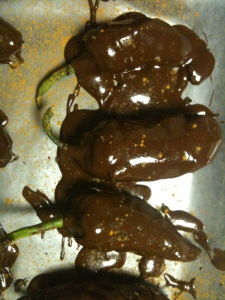 Chocolate caramel double-dipped Habanero peppers