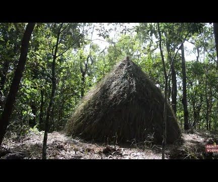 ​How to Build Grass Hut