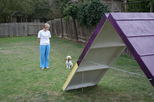 DIY Dog Agility A-Frame