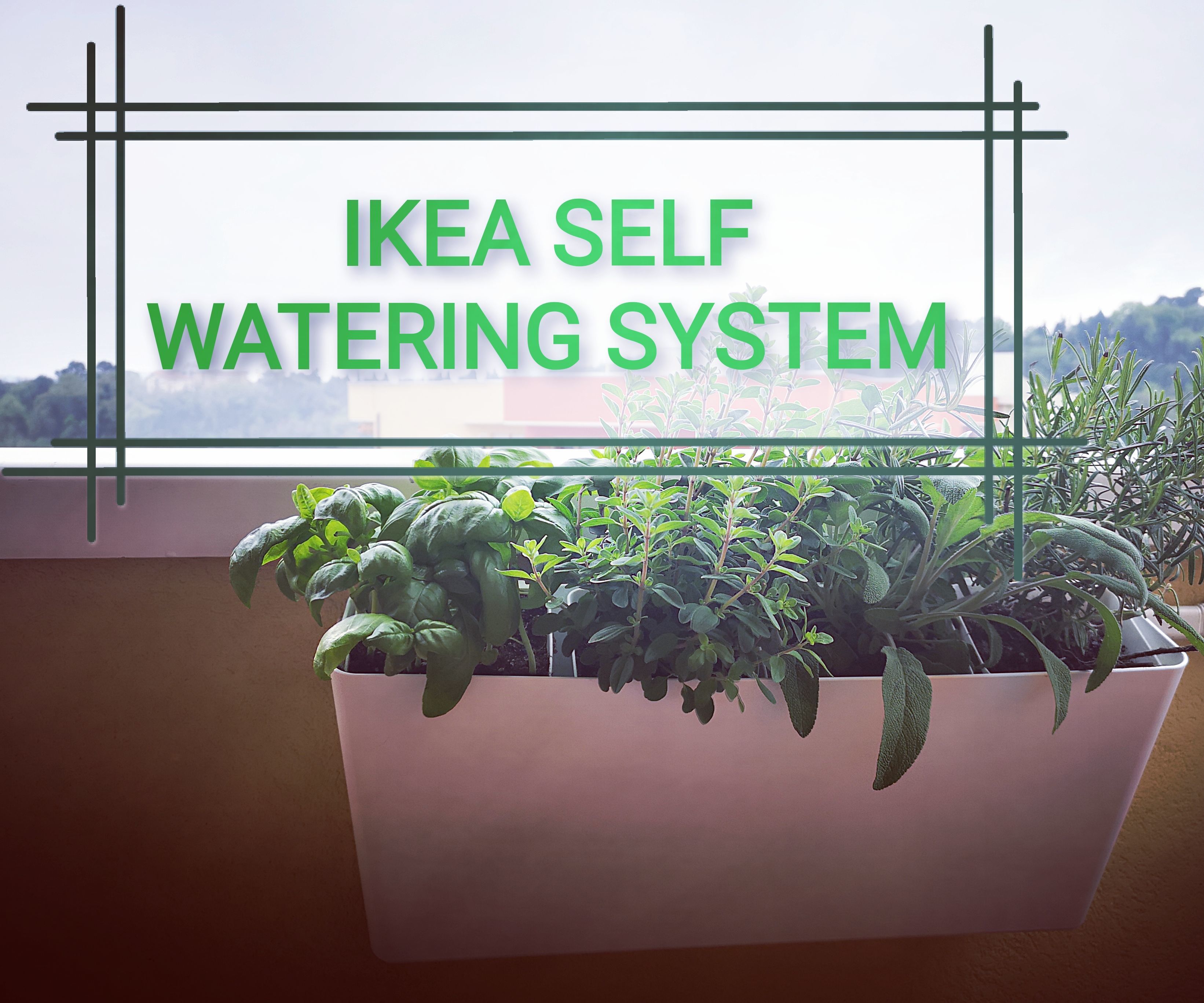 IKEA Self Watering System