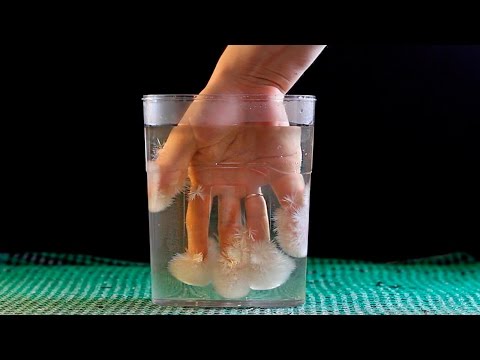 &amp;quot;HOT ICE&amp;quot; - amazing experiment