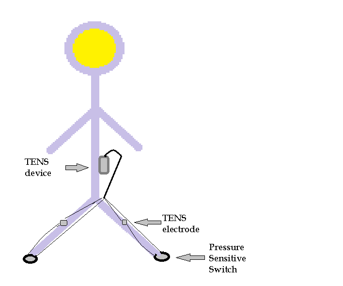 TENS MDDS Feedback Device
