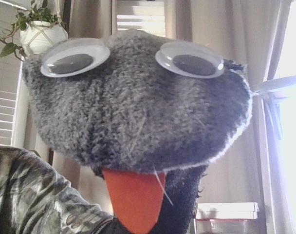 How to Make Sock Puppets