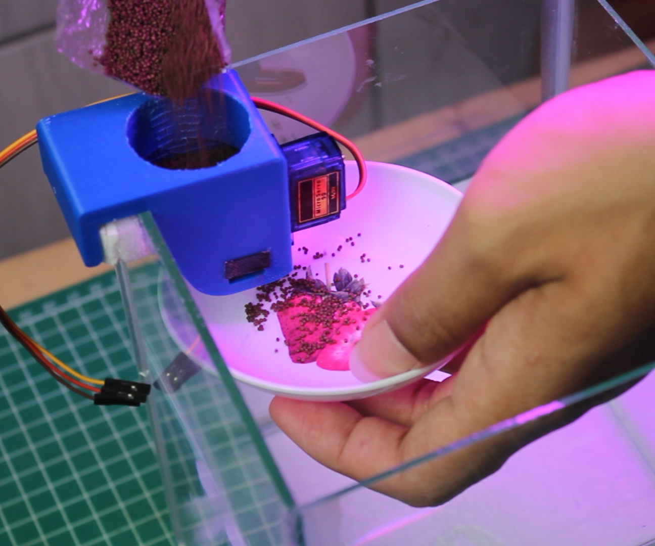 Automatic Fish Feeder Using Arduino Nano