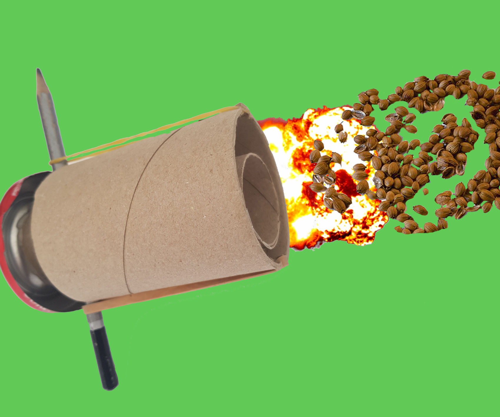 Seed Launcher