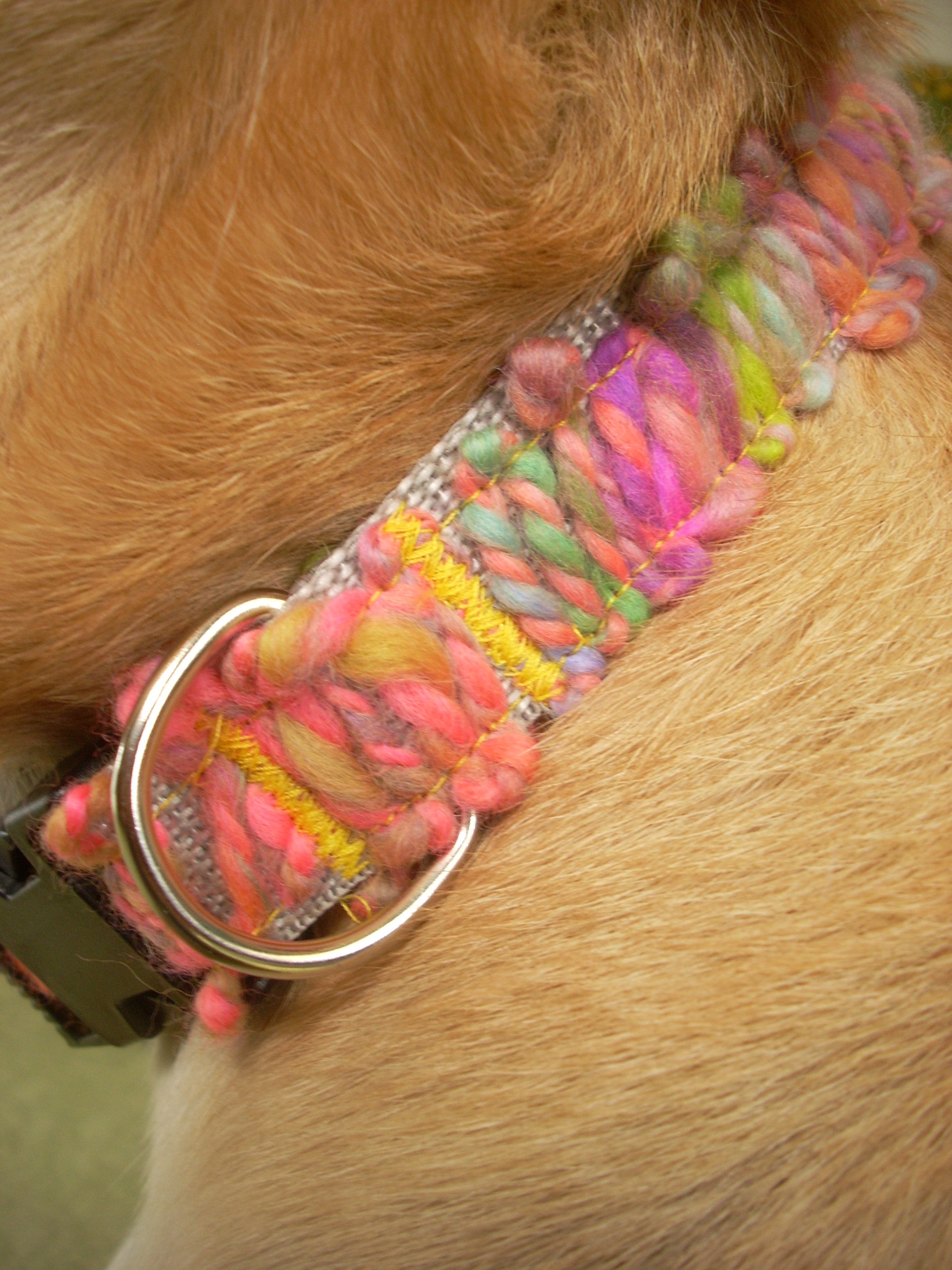 Yarn Appliqued Dog Collar