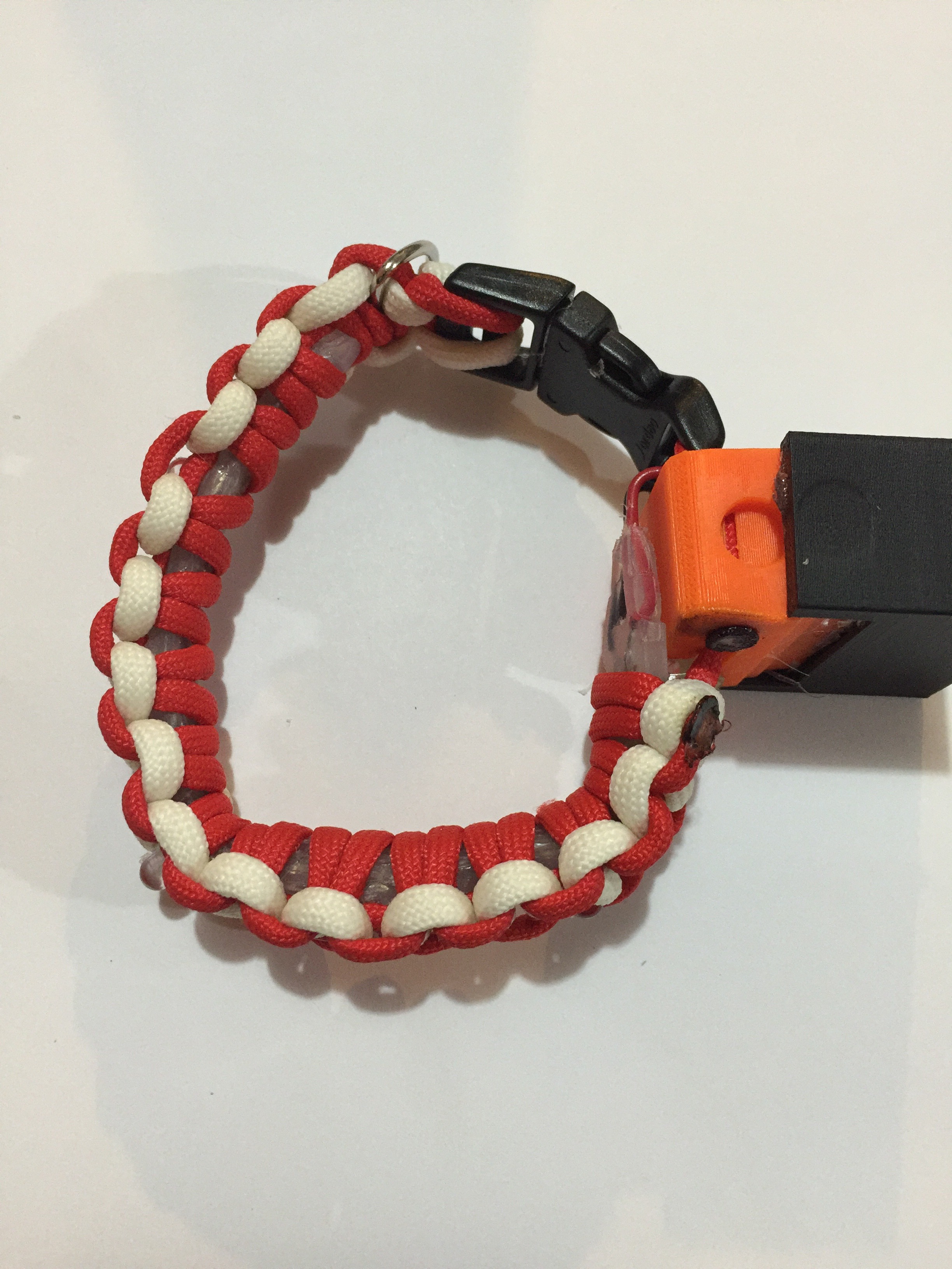 Light Up Paracord Dog Collar 