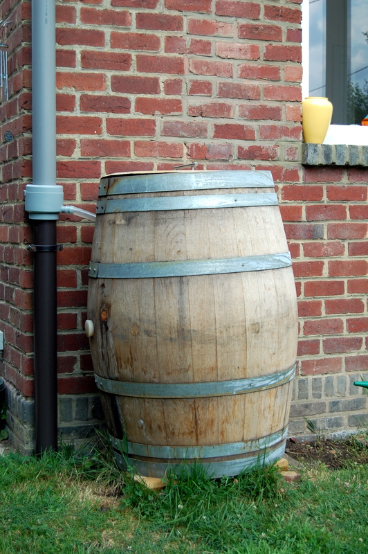 Collect Rain Water With a Wine Barrel