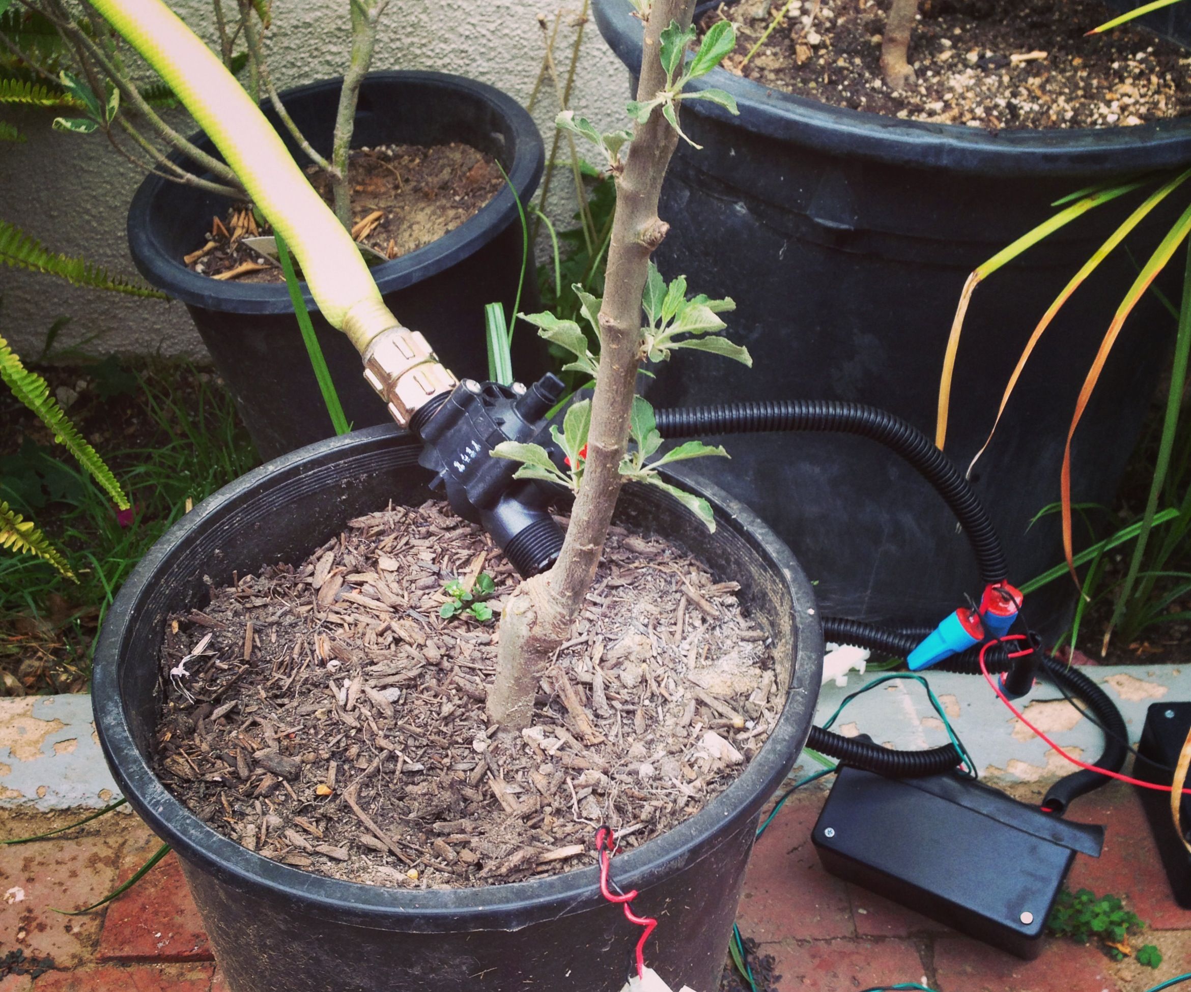 Raspberry Pi Irrigation Controller