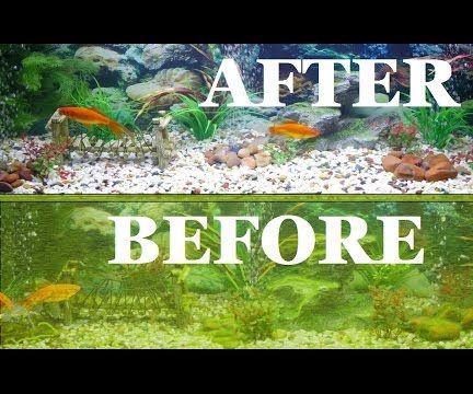Complete Aquarium Clean / Fish Tank Clean out