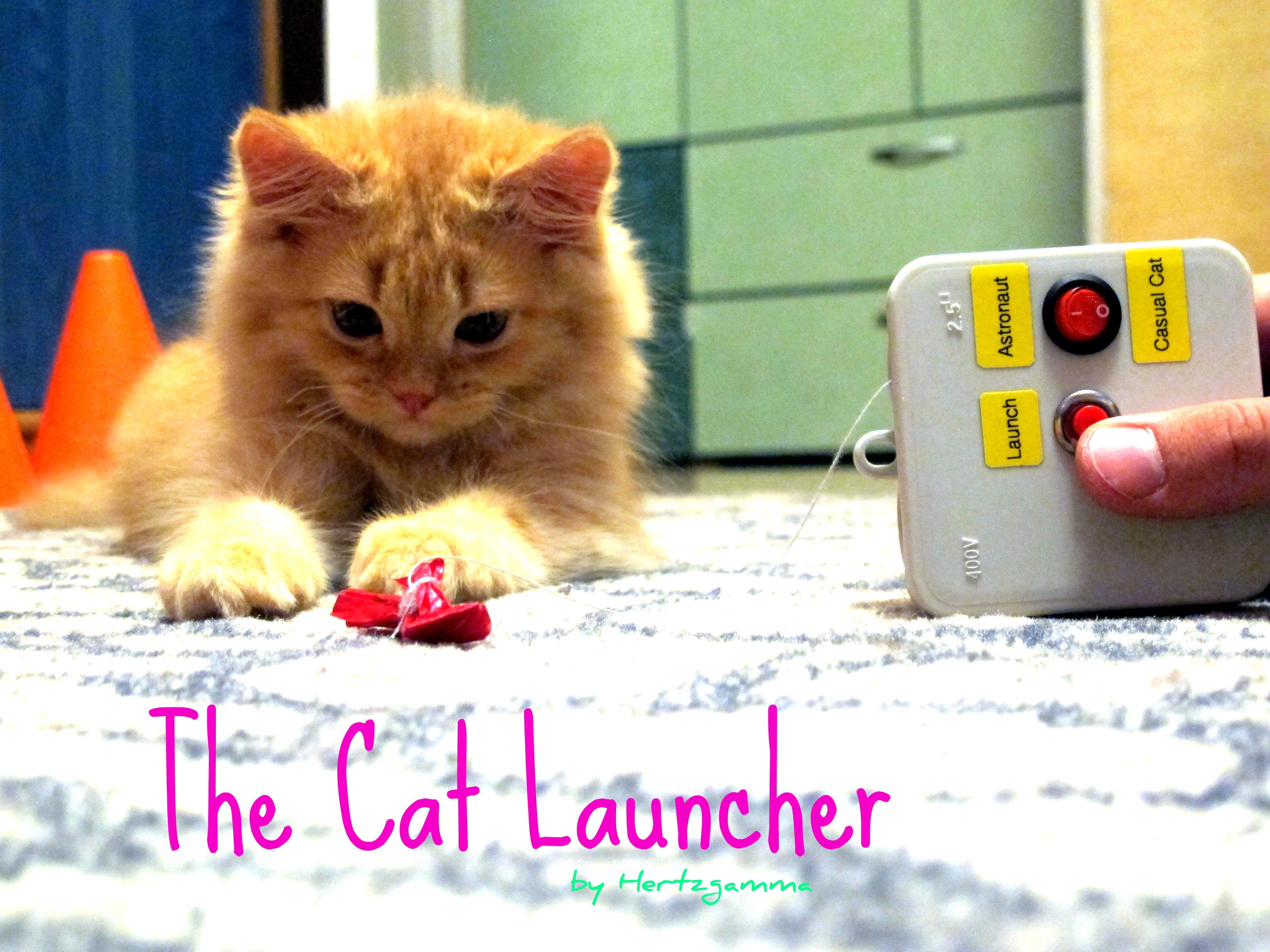 The Cat Launcher - Energetic Cat's Workout Toy or Just a Lazy Owner