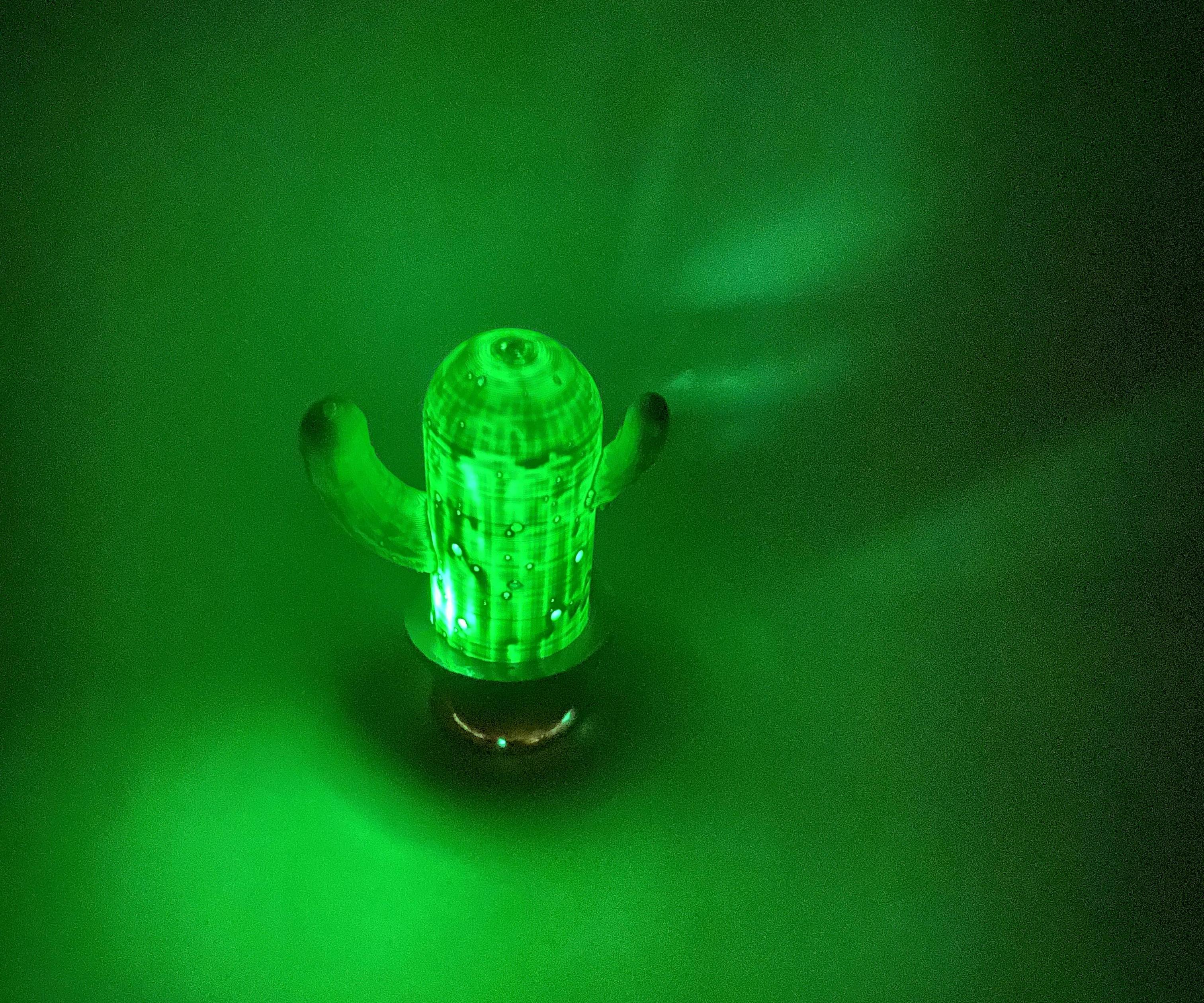 Cool Cactus