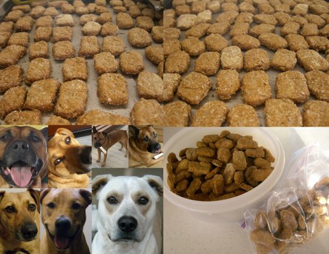 Mutt Cookies / Aka Dog Biscuits