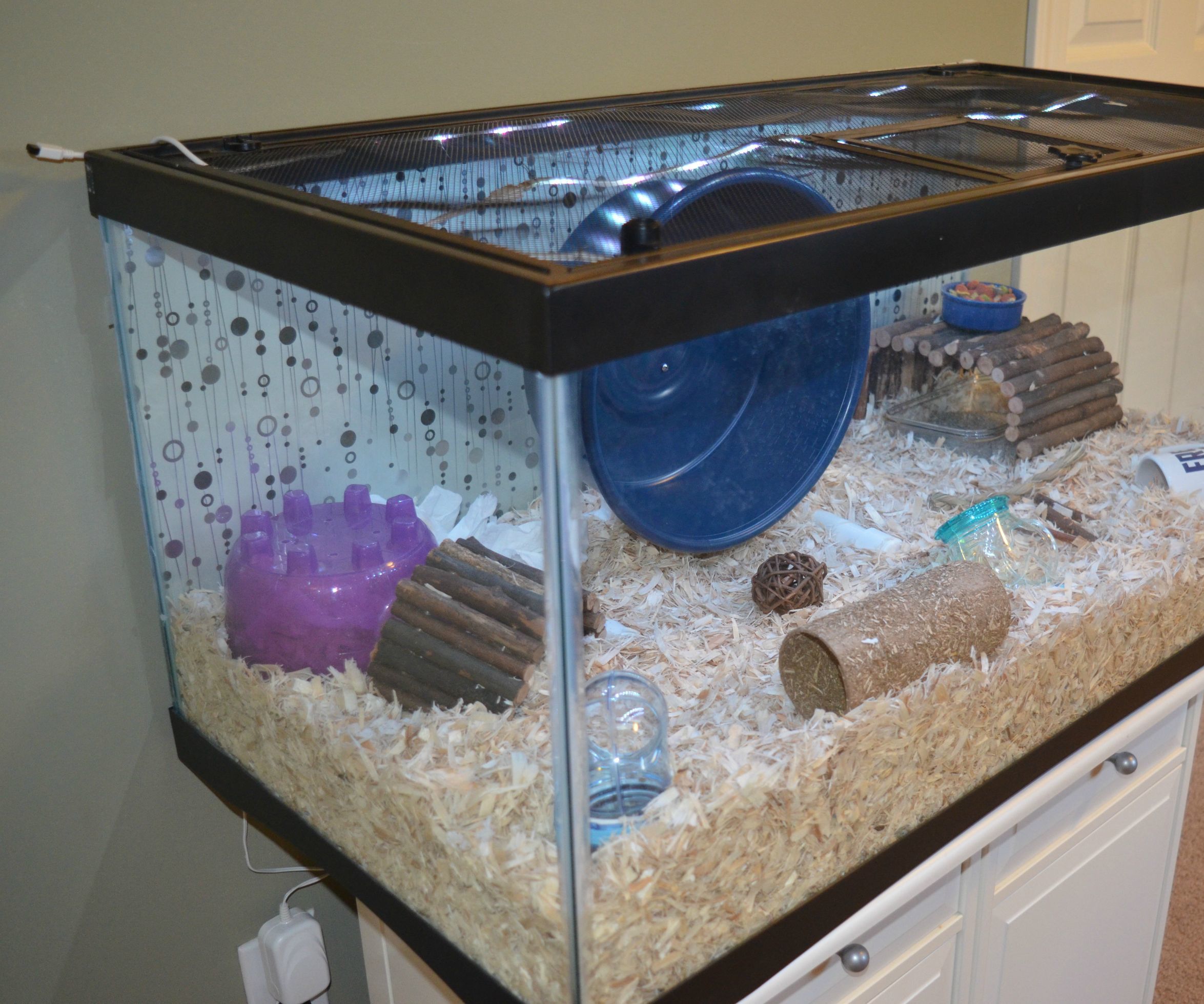Hamster House