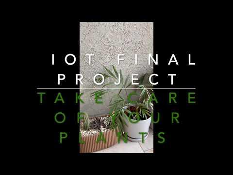 Take Care of Your Plants
