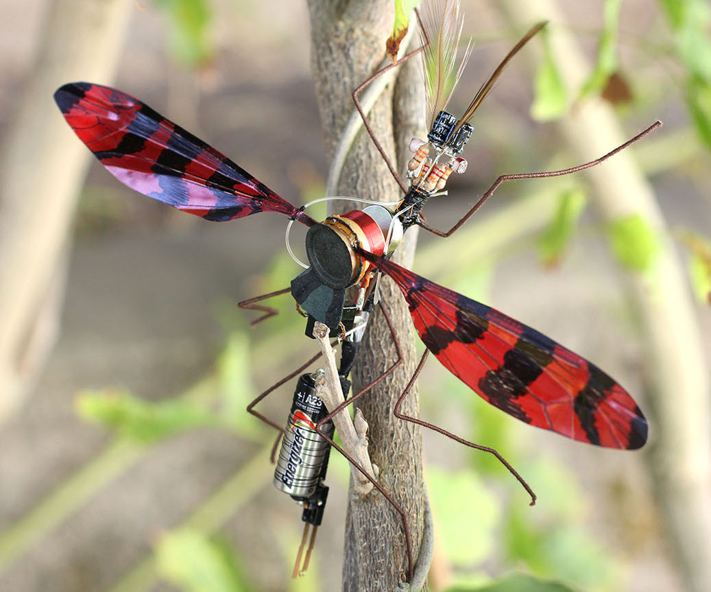 Electromechanical Insect or Flapping Oscillator