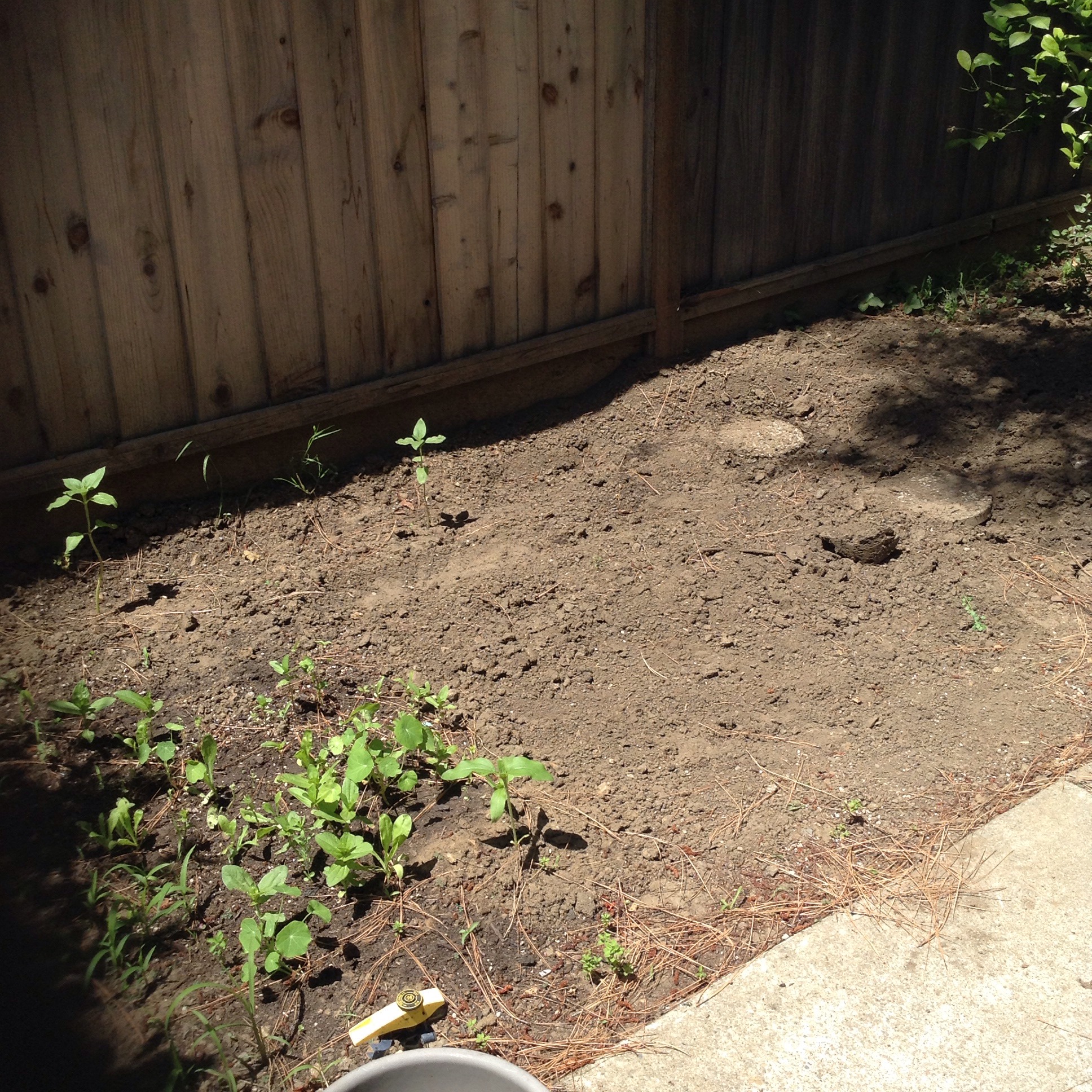 How To Start A Beautiful Garden