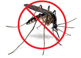 Outdoor protection agains mosquitos