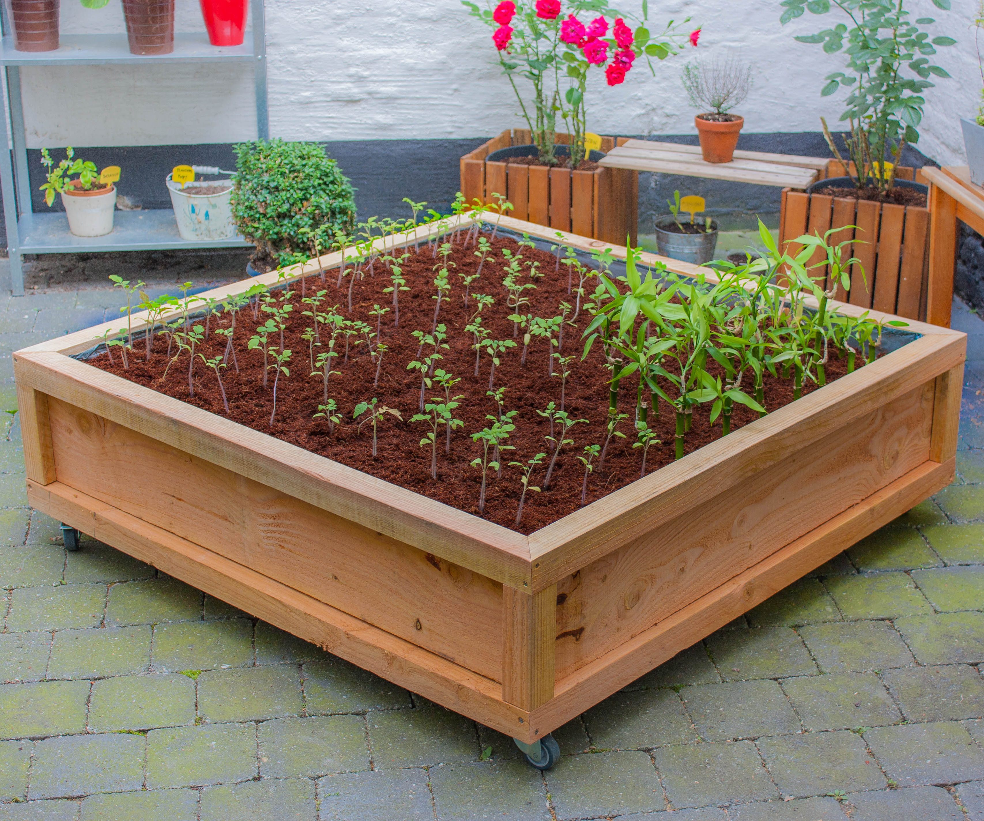 Square Meter Vegetable Garden on Wheels