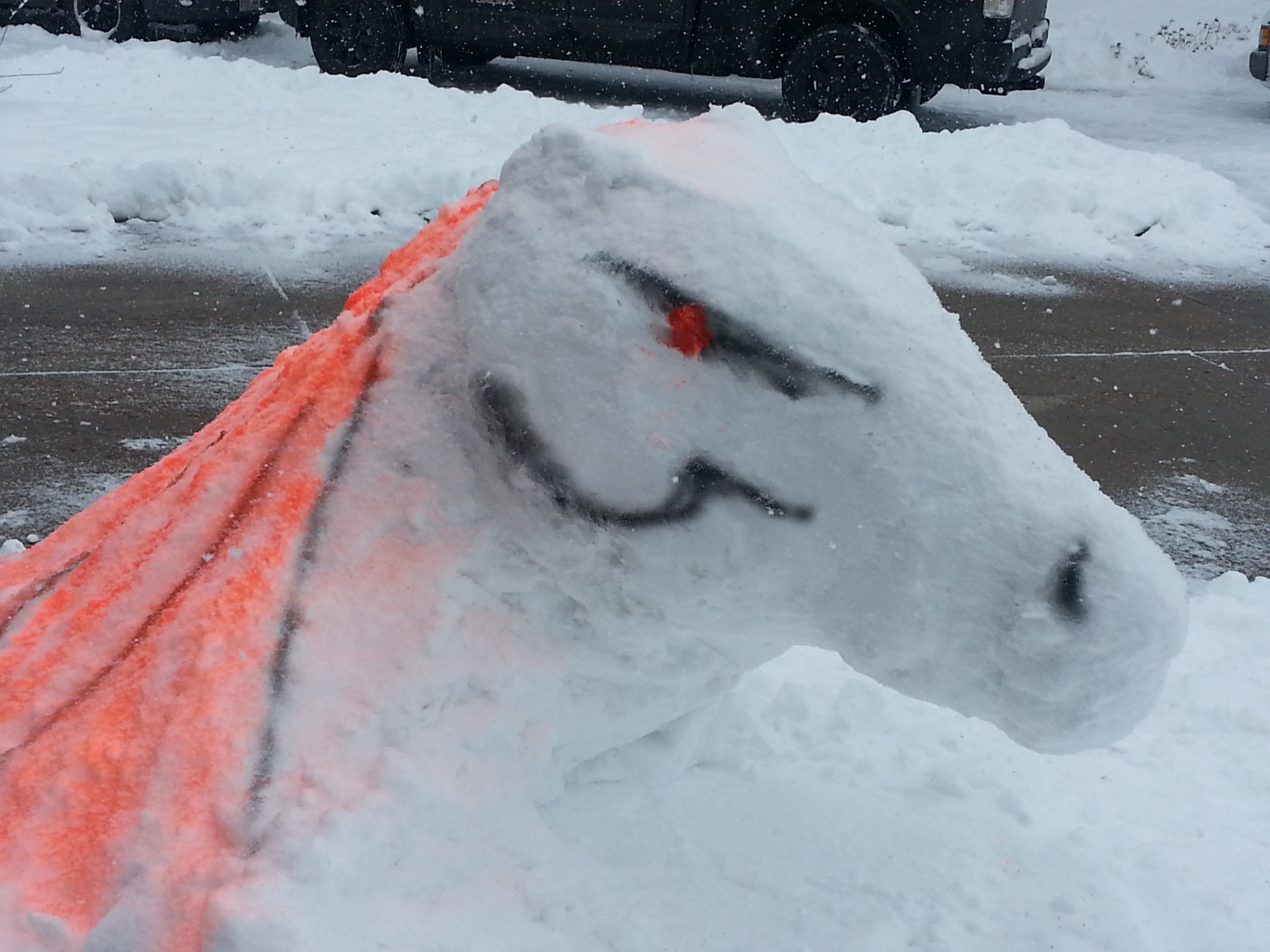 Show your support in snow