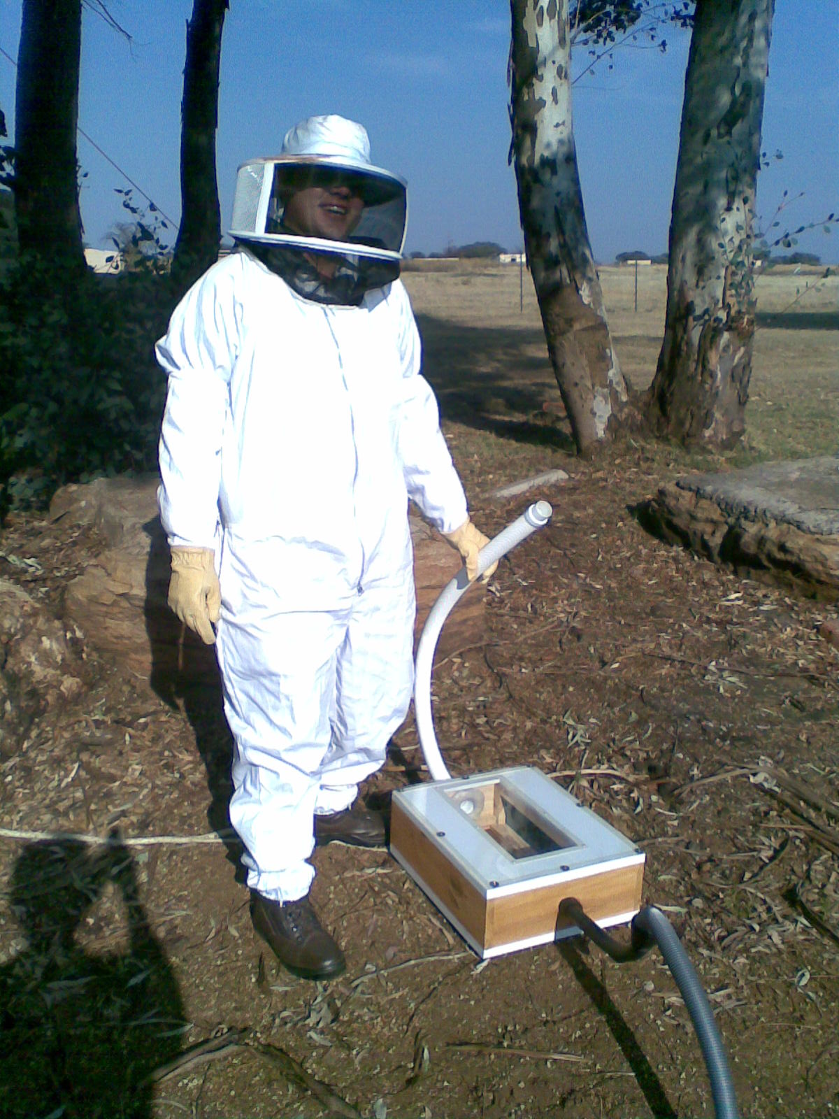 Bee Sucker