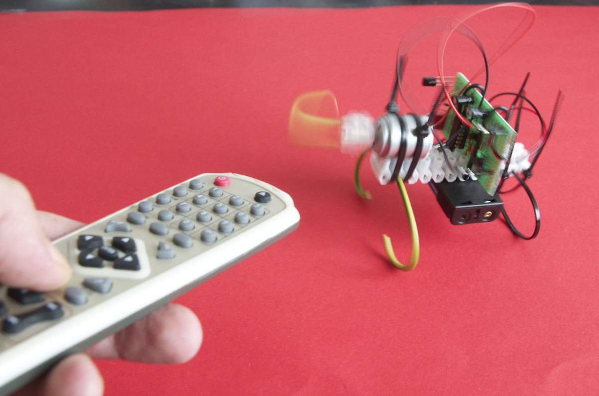 RC Circuit for a Bibberbeest / Vibrobot