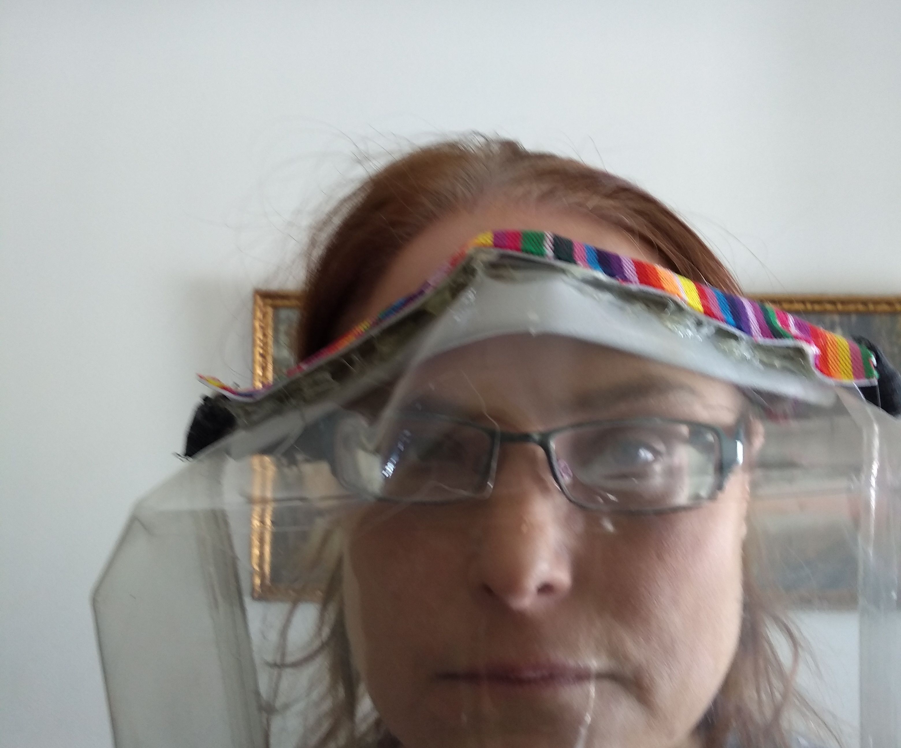 Face Shield 
