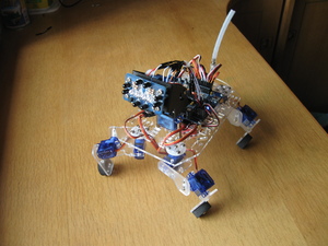 Playful Puppy Robot