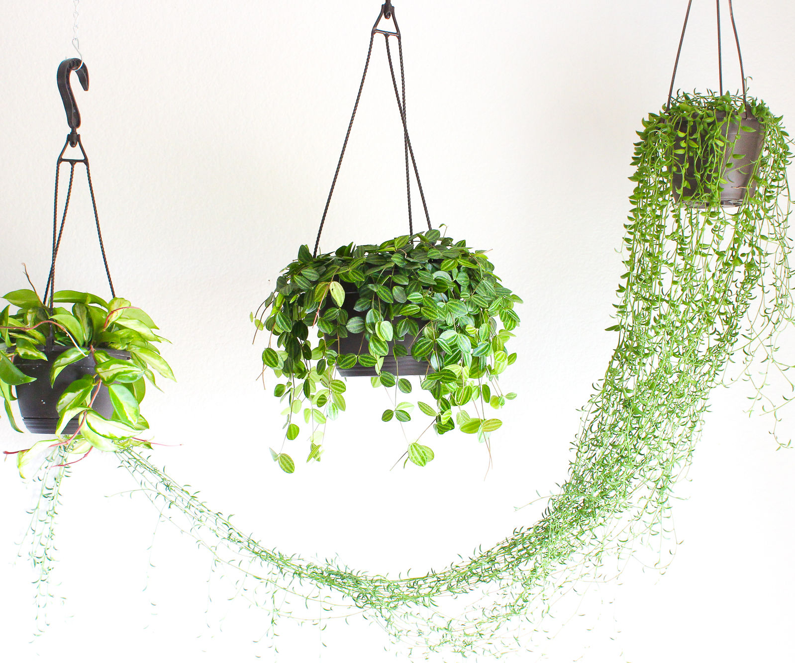 How to Hang a Plant From the Ceiling 