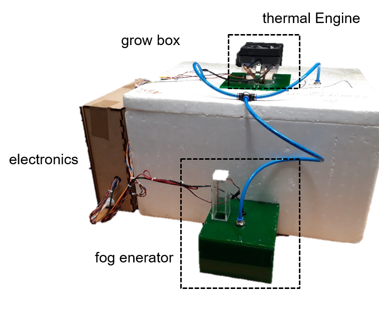 Mushroom Climate Box