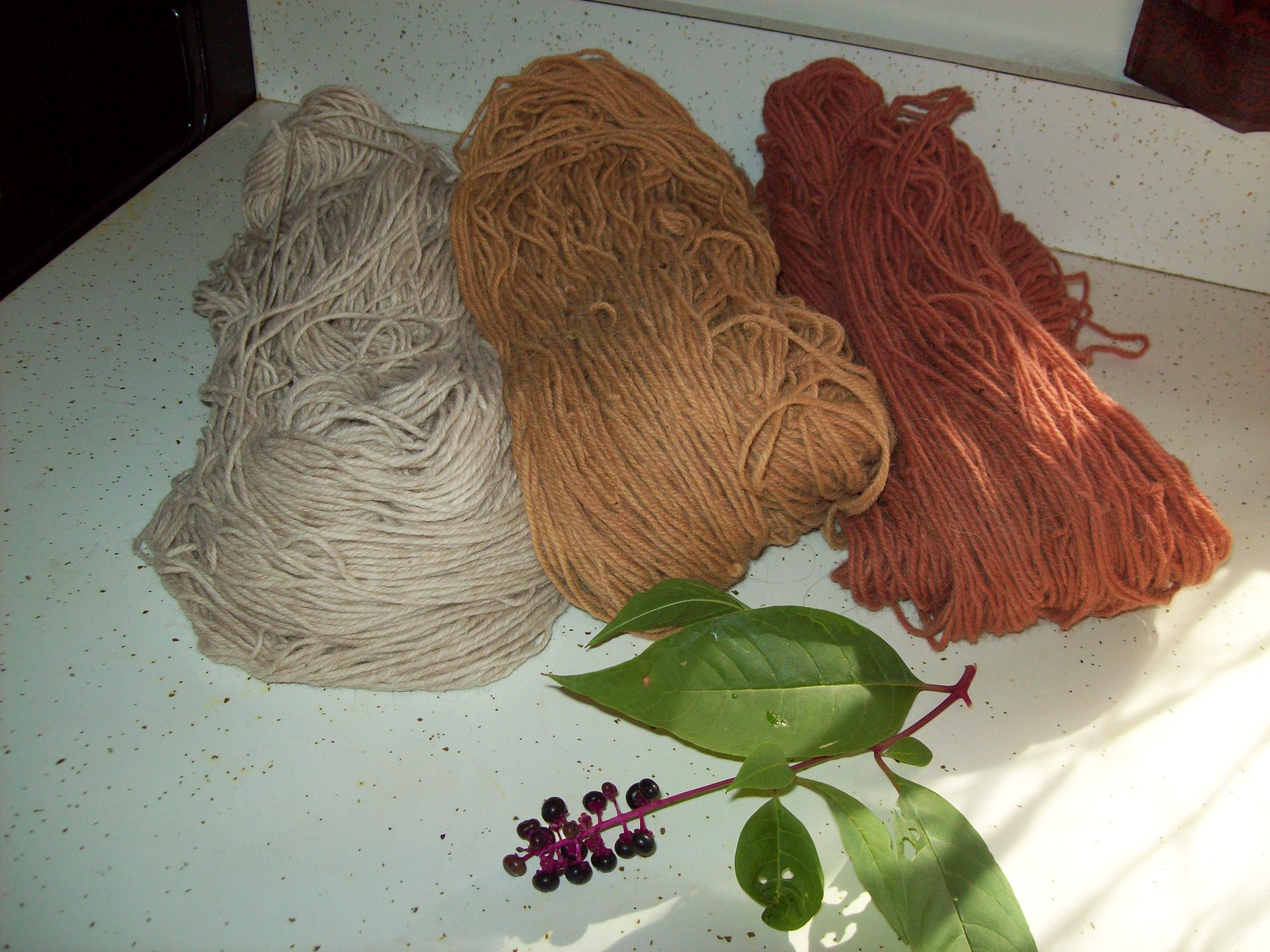 Natural Dye From Pokeweed